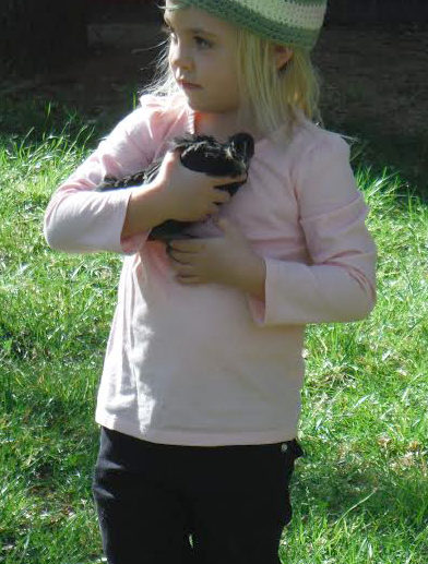 Girl and Chick